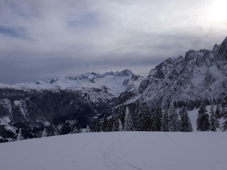 Dachstein View Ski Apartment Gosau Ngoại thất bức ảnh