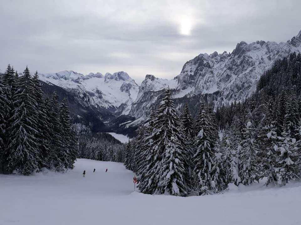 Dachstein View Ski Apartment Gosau Ngoại thất bức ảnh