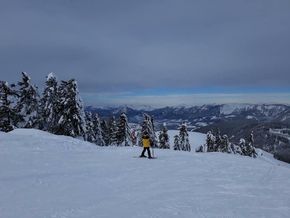 Dachstein View Ski Apartment Gosau Ngoại thất bức ảnh