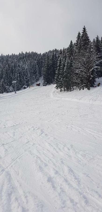Dachstein View Ski Apartment Gosau Ngoại thất bức ảnh